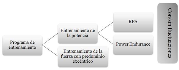 Gráfico 1. Programa de Entrenamiento