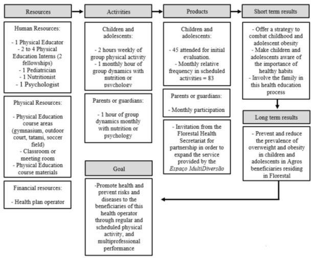 Figure 1. Logical model of the first year of intervention of the Espaço MultiDiversão