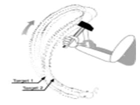 Figura 2. Esquema de la variabilidad del movimiento de un sujeto realizando un movimiento repetitivo de brazo