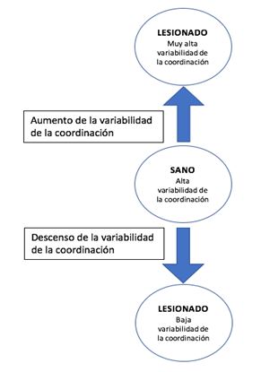 Figura 3. Esquema ilustrativo de la relación entre alta-baja variabilidad y lesión