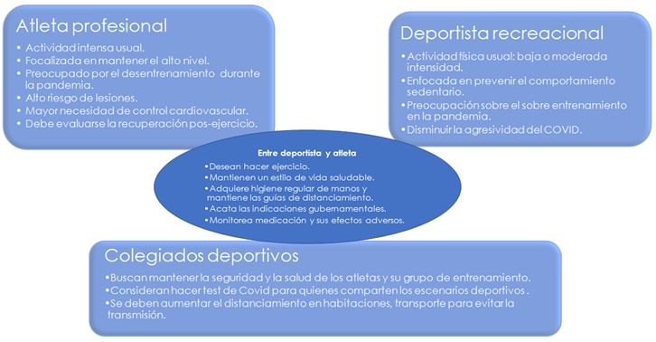 Figura 6. Relación entre atleta profesional y deportistas recreacionales