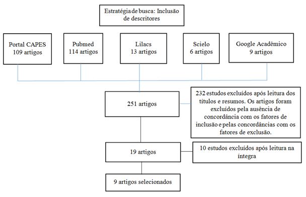 Figura 1. Estratégia de busca