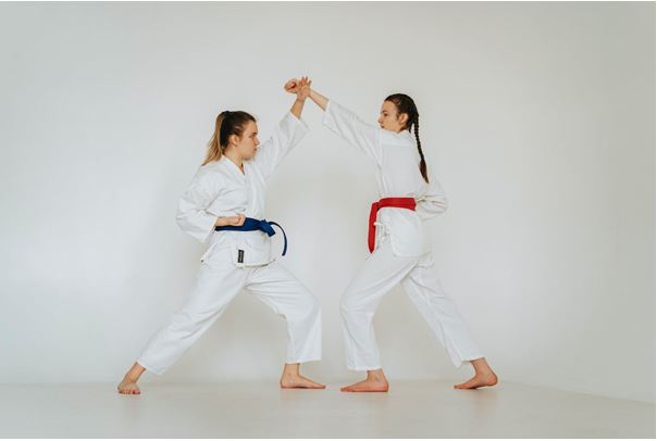 Image 1. Karate is considered one of the disciplines of Budo