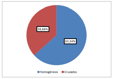 Gráfico 1. Relación óculo manual