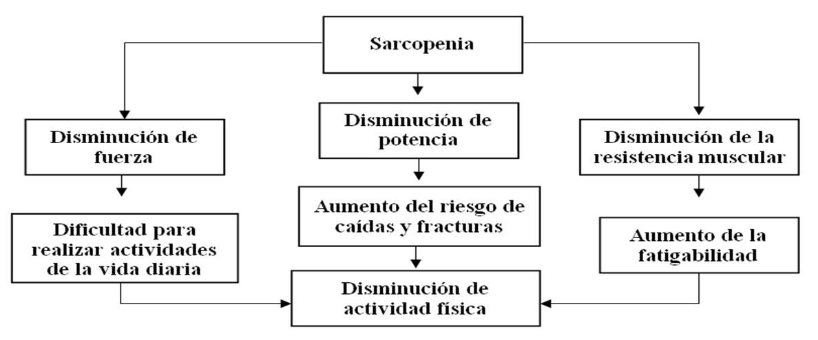 Figura 1. Consecuencias de la sarcopenia