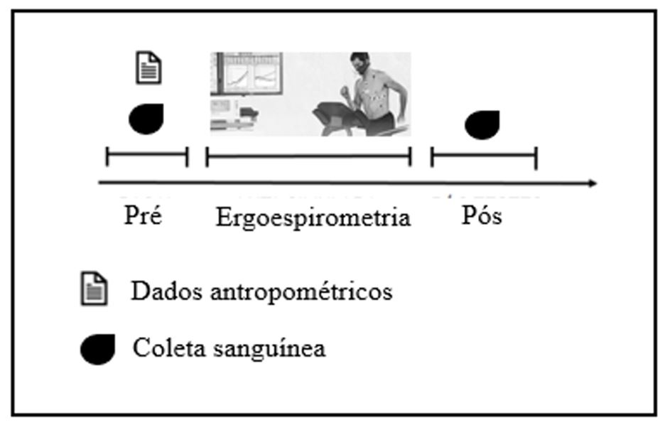 Figura 1. Desenho experimental