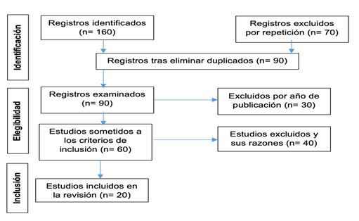 Figura 1. Diagrama de flujo (PRISMA)