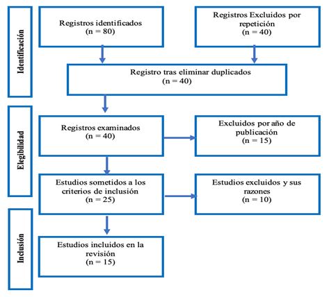 Figura 1. Diagrama de flujo (PRISMA)