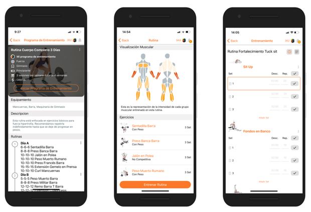 Imagen 1. Planificación de un entrenamiento personalizado visualizando la intensidad por grupo muscular, ejercicios, repeticiones, tiempos de descanso, pesos, etc.