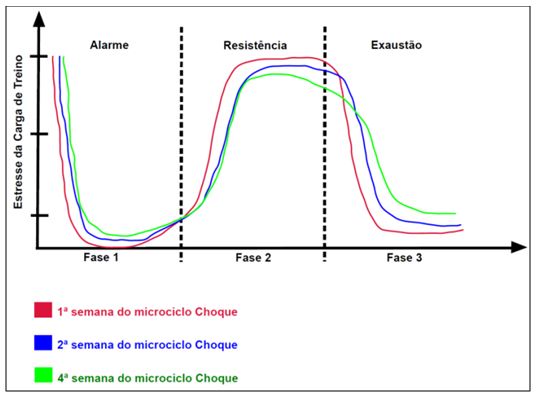 Figura 3. Comportamento da SAG conforme o atleta vai se adaptando a carga ondulada de treino de um microciclo choque