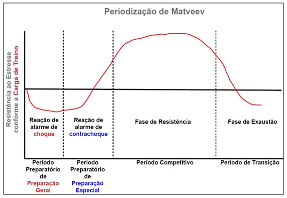 Figura 4. Comportamento da SAG do atleta de acordo com o efeito da carga ondulada nos períodos da periodização de Matveev