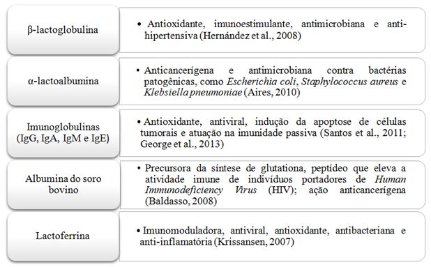 Figura 1. Principais propriedades biológicas das proteínas do soro do leite