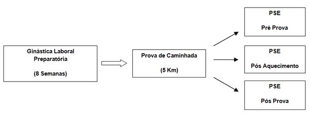 Fluxograma 1. Construção do estudo