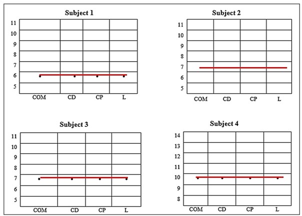 Figure 1. Psychomotor profile per subject