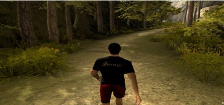 Figure 1. EMOFIT exergame for the experimental test