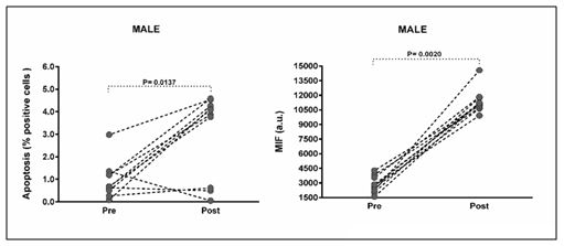 Figure 2. Individual values for apoptosis and levels of hydrogen peroxide measured in isolated leukocytes for male public