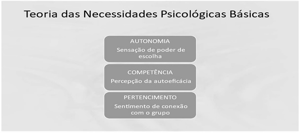 Figura 1. Teoria das Necessidades Psicológicas Básicas, conforme proposto pela TAD