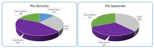Figura 2. Tipologías de pies