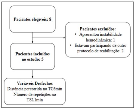 Figura 1. Fluxograma do estudo