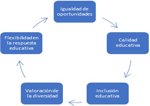 Figura 1. Principios fundamentales del Decreto 83 en Chile