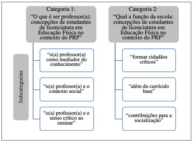 Figura 1. Categorias e subcategorias de análise